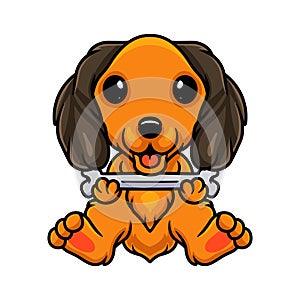 Cute dachund dog cartoon holding a bone