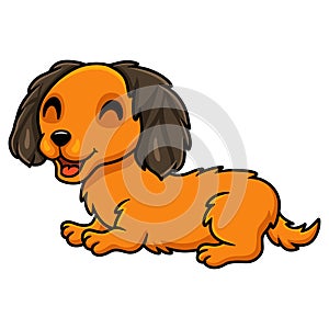 Cute dachund dog cartoon laying down