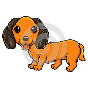 Cute dachund dog cartoon posing