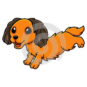 Cute dachund dog cartoon running