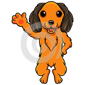 Cute dachund dog cartoon waving hand