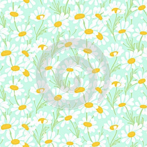 Cute daisies on mint green