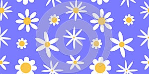 Cute daisy pattern, spring flowers. Summer floral chamomile print, white and yellow bloom on purple. Decor textile