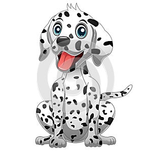 Cute Dalmatian Dog