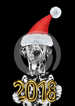 Cute dalmatian dog in Christmas hat holding 2018. Isolated on black