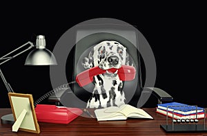 Cute dalmatian dog sitting on leather chair with telephone in his mouth. on black