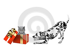Cute dalmatian dog standing near his birthday gift box with cat