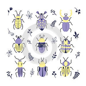 Cute decorativ vector set of different doodle bugs, beetles, leafs and branch. Vector design insect collection isolated