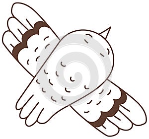Cute decorative bird. Vector. Doodle drawing. Black line, outline, hand drawing photo