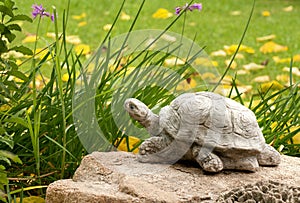 Cute Decorative Turtle in a Garden Setting