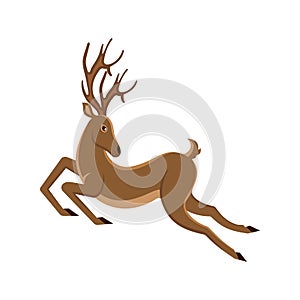 Cute Deer Cartoon Running. Reindeer Moving. Leaping Stag