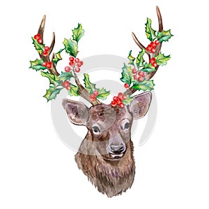 Cute deer with decorated horns for Christmas isolated on white background.