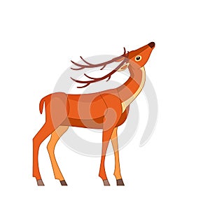 Cute deer with horns. Wildlife of forest mammals stands and grazes. Cartoon flat style drawing vector illustration