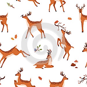 Cute deer pattern. Seamless background with wild baby animal. Repeating print with spotted reindeer. Endless texture