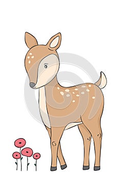 Cute deer and red flowers. Woodland animal.