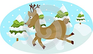 Cute deer running on snow