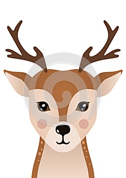 Cute deer. Woodland forest animal.