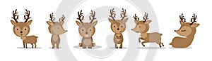 Cute Deers in flat style set on white background