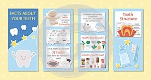 Cute dental care brochure design for kids. Vector funny stomatology information leaflet with cute smiling characters. Teeth facts