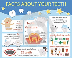Cute dental care infographics for kids. Vector funny stomatology information poster with cute smiling characters. Teeth facts info