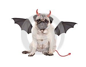 Cute devilish pug puppy dog dressed up for Halloween, isolated on white background