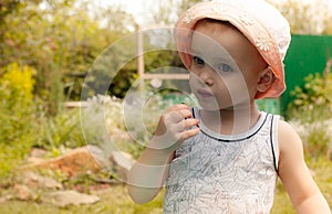 Cute dirty toddler boy eating raspberries on his fingers, summertime outdoor, healthy food concept