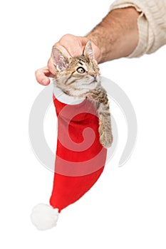 A cute disabled kitten with one eye in a red kinship hat as a gift. The man`s hand hangs on it.