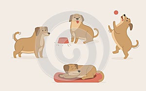 Cute dog activity set, dogs daily routine. Funny puppy is sleeping, playing ball, eating his food