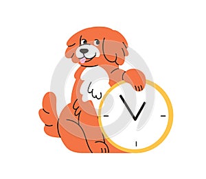 Cute dog with alarm clock. Time management, biorhythms concept. Funny happy doggy, puppy waiting, expecting, hinting