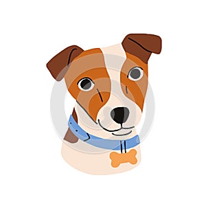 Cute dog avatar, head portrait. Little puppy of Jack Russell terrier breed. Adorable funny doggy in collar, companion