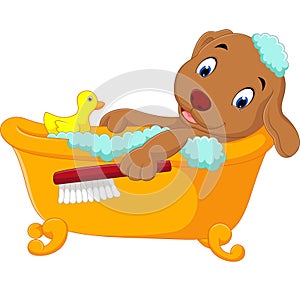 Cute dog bathing time