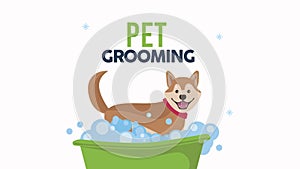 cute dog in bathtub bath time animation