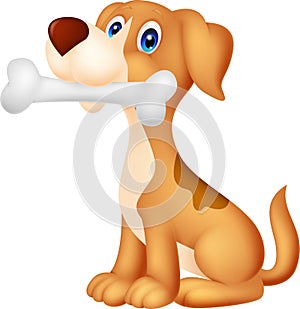 Cute dog with bone