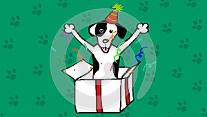 Cute dog in a box. Bithday present hand drawn cartoon animation.