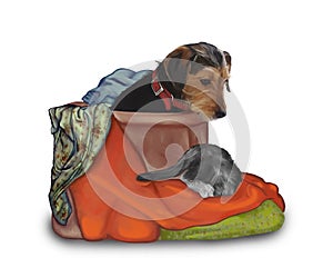 Cute dog in a box full of clothes looks curiously at a cat playing in the blanket. Painting