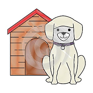cute dog breed with wooden house character