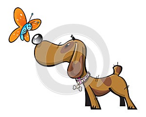 Cute dog and butterfly