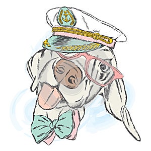 Cute dog in the captain`s cap. Captain.