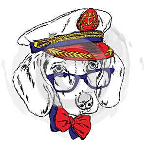 Cute dog in a captain`s cap. Charming puppy.