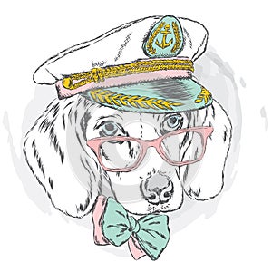 Cute dog in a captain`s cap. Charming puppy.