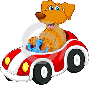 Cute dog cartoon driving car