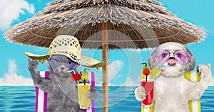 Cute dog and cat resting and relaxing on the beach chair under umbrella with juice at the beach ocean shore, on summer