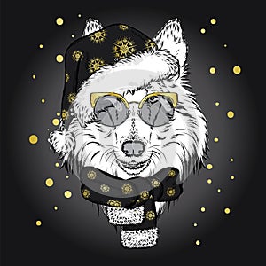 Cute dog in a Christmas hat and sunglasses. Vector illustration for greeting card, poster, or print on clothes. Pedigree dog.