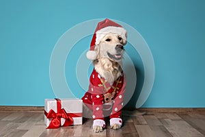 Cute dog in Christmas sweater and hat with gift