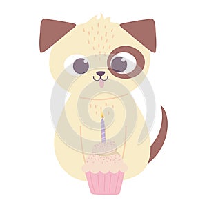 Cute dog with cupcake and candle birthday celebration animal cartoon