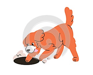 Cute dog digging hole with paws. Funny little puppy, canine animal. Happy excited pup, doggy exploring, finding, looking