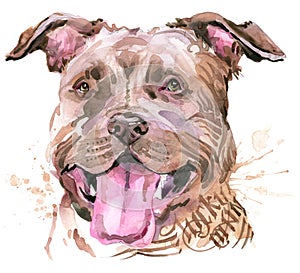 Cute Dog. Dog T-shirt graphics. watercolor Dog illustration. Aggressive dog breed.