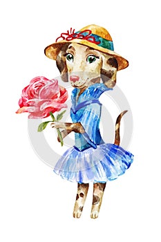 Cute dog in a dress and hat with large pink rose in a gift