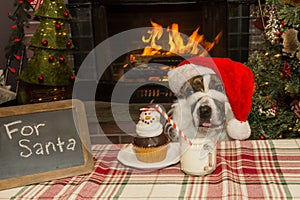 A cute dog dressed as Santa