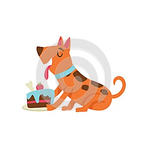 Cute dog eating cake, funny cartoon animal character at birthday party vector Illustration